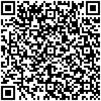 The Grasshopper Hostal Plaza De Armas